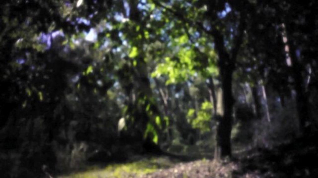 Pinhole Video #1